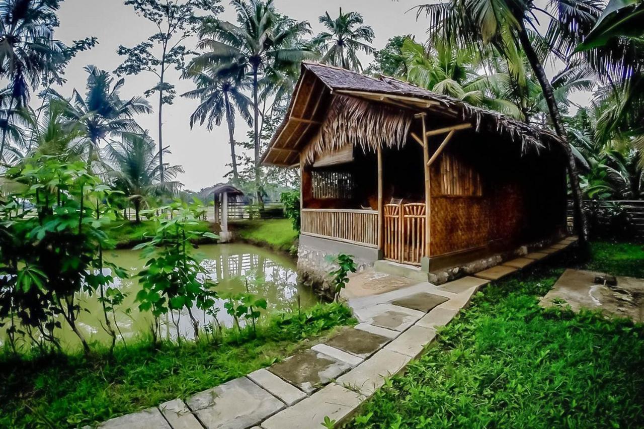 Hotel Baleku Bamboo Retreat Pangandaran Exterior foto